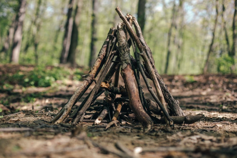 a teepee in the middle of the woods near some logs