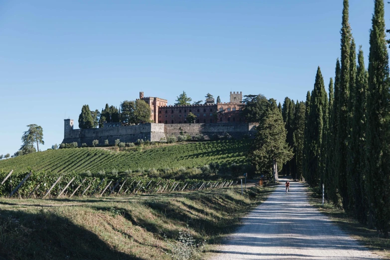 an old castle and winery near a road