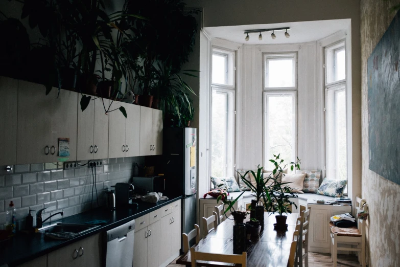 the kitchen table has chairs near it with plants