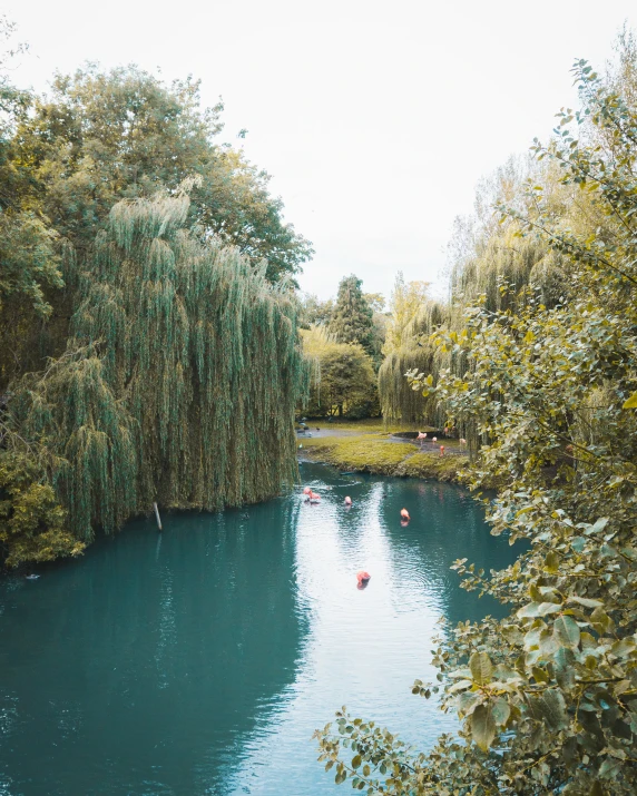 a pond filled with lots of blue water and trees