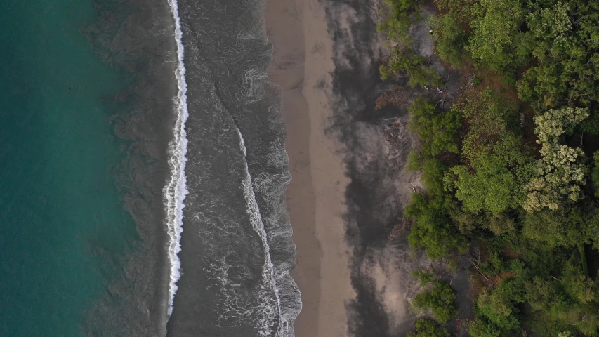 an aerial s shows the beach and trees