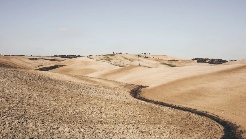 a desert landscape is shown with sp trees