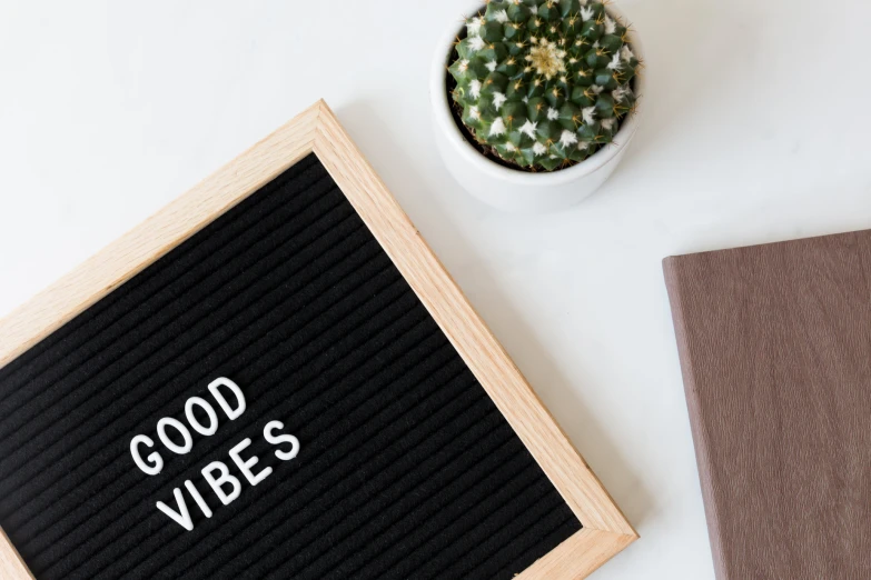 a board with a good vibes message beside a small cactus