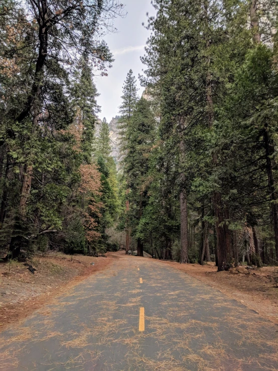 the street is wide and empty of traffic