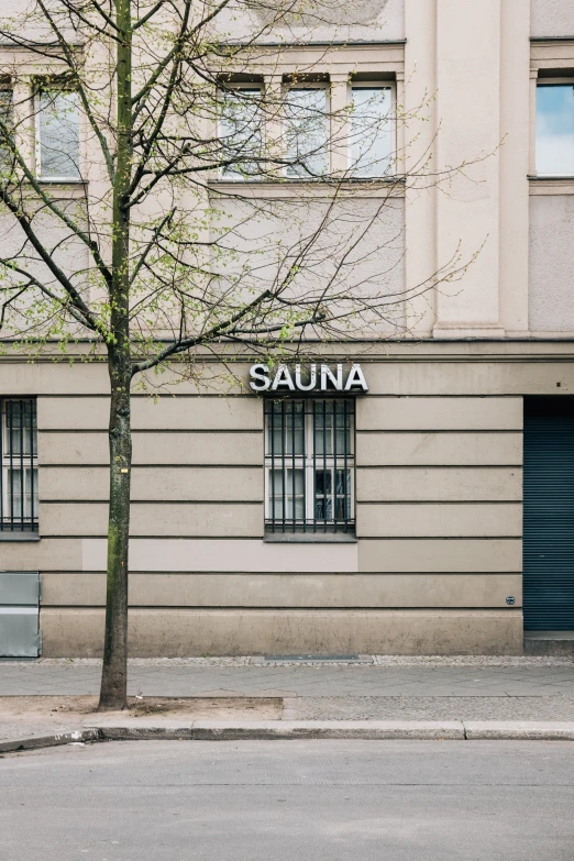 a lone tree in front of an empty building