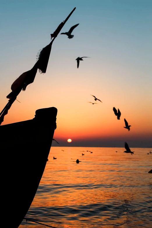 a boat with many birds flying in the sky