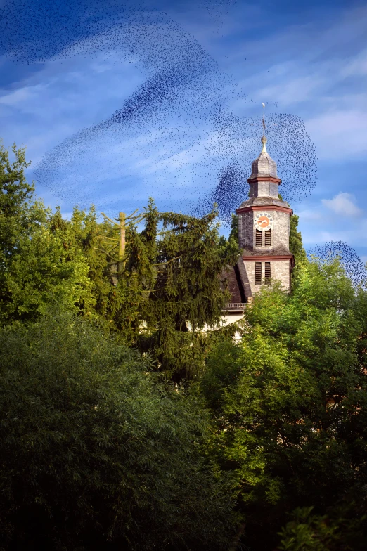 a tower sitting among the trees that is under a blue sky