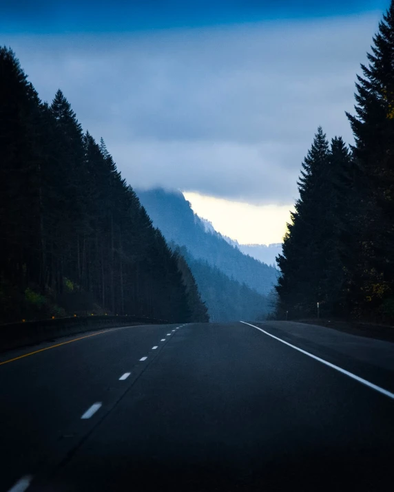 an empty road surrounded by many tall trees