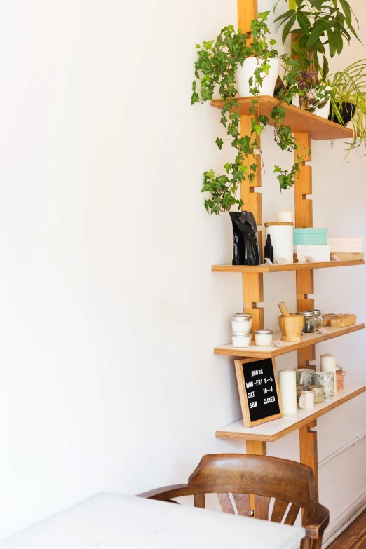 shelves full of plants near a bed and window