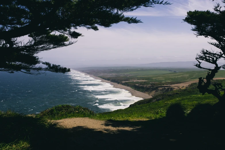 a large body of water near trees on the shore