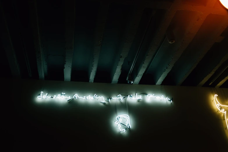 neon signage in black wall lit up by lamps