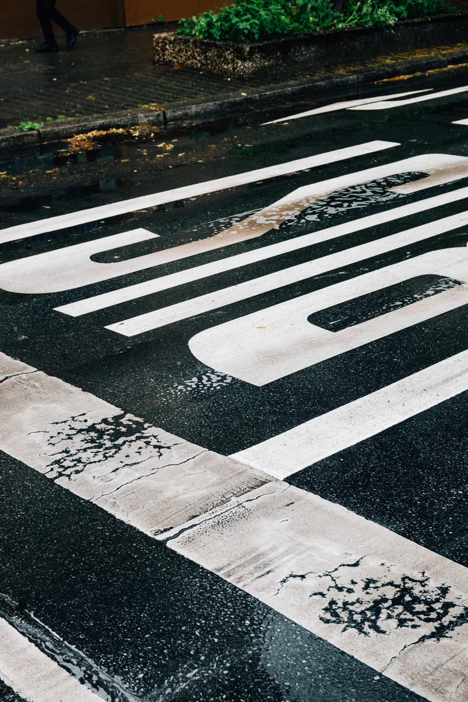 a crosswalk with white lines and letters written in it