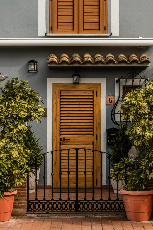 front of building with potted plants and wooden doors