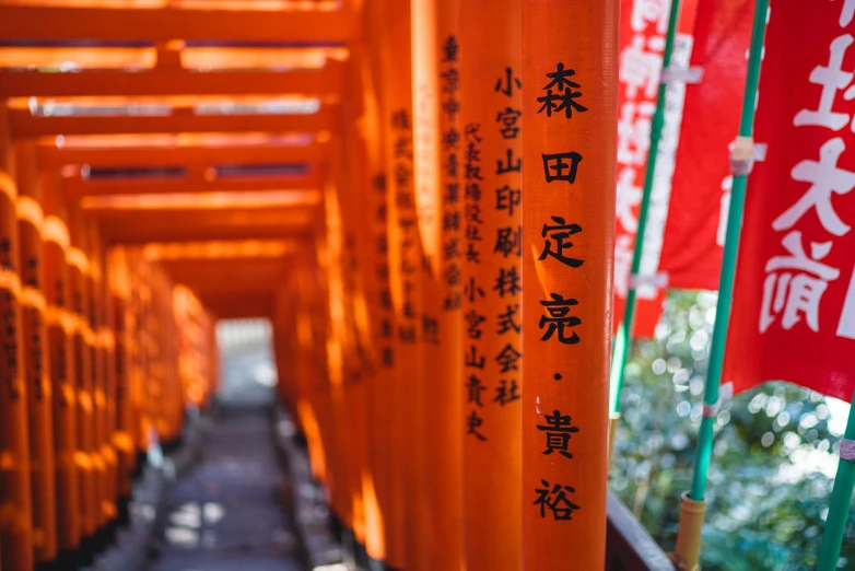 rows of orange japanese lanterns with asian writing