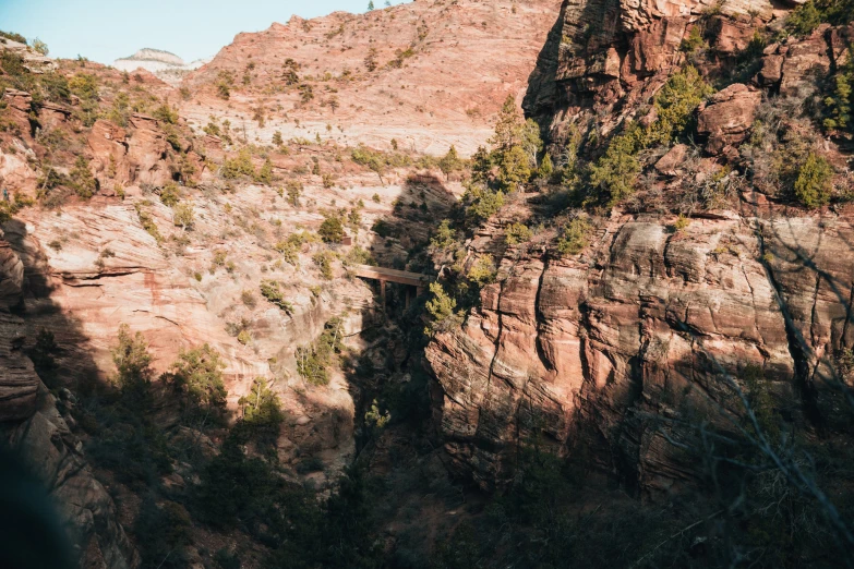 a view of trees growing at the top of cliffs