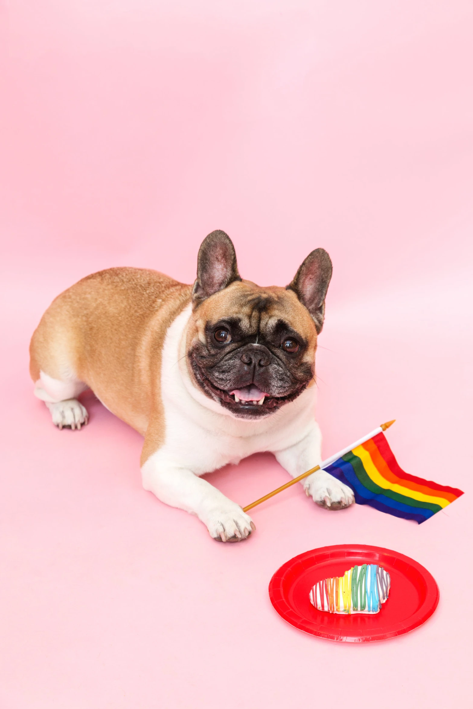 the dog is laying down next to a toy that has a rainbow streamer sticking out of it