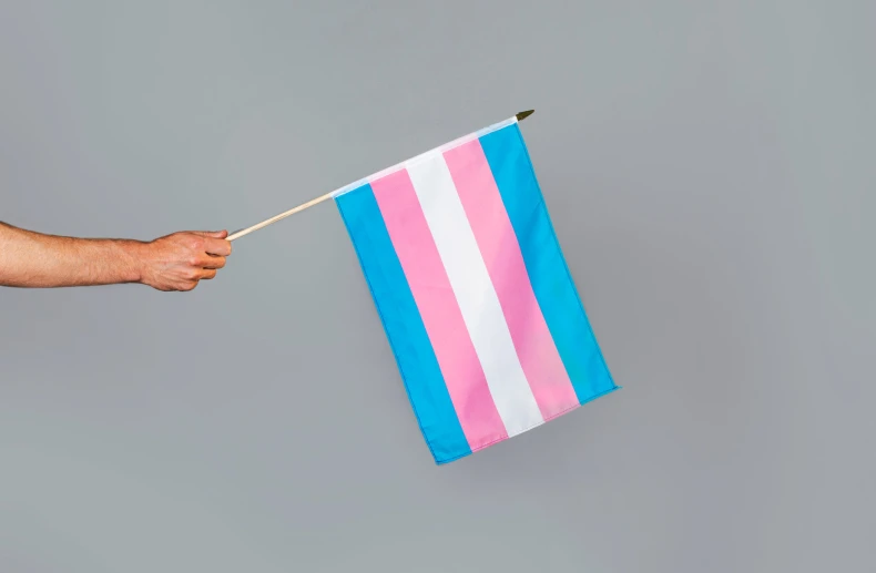 hand with blue and pink striped towel holding a blue and white striped flag