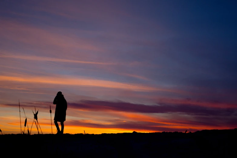 a person standing near some grass at sunset