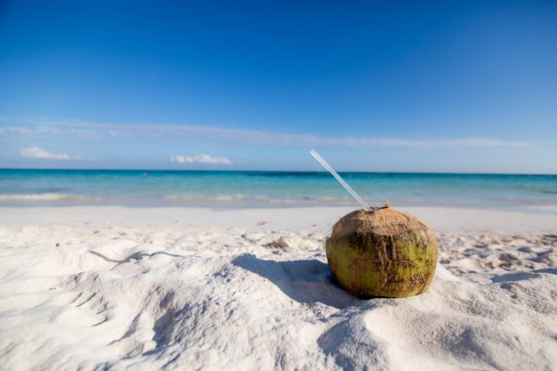 a coconut sitting on the beach with clear blue water