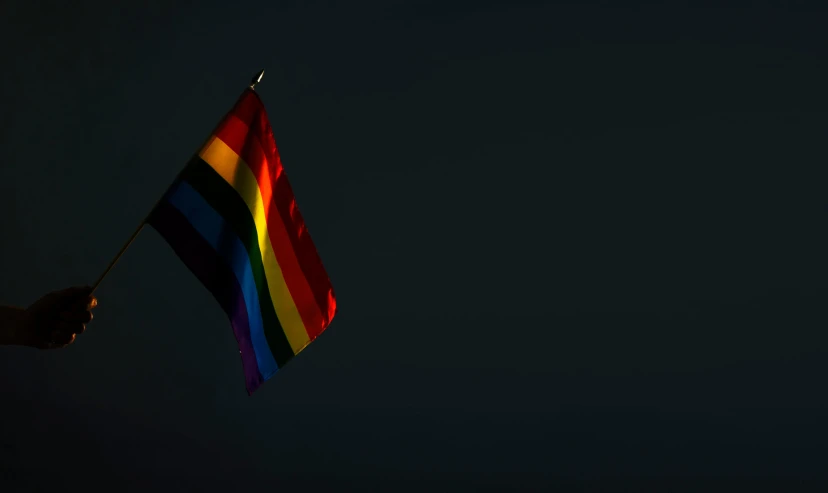 someone is holding a rainbow flag up in the dark
