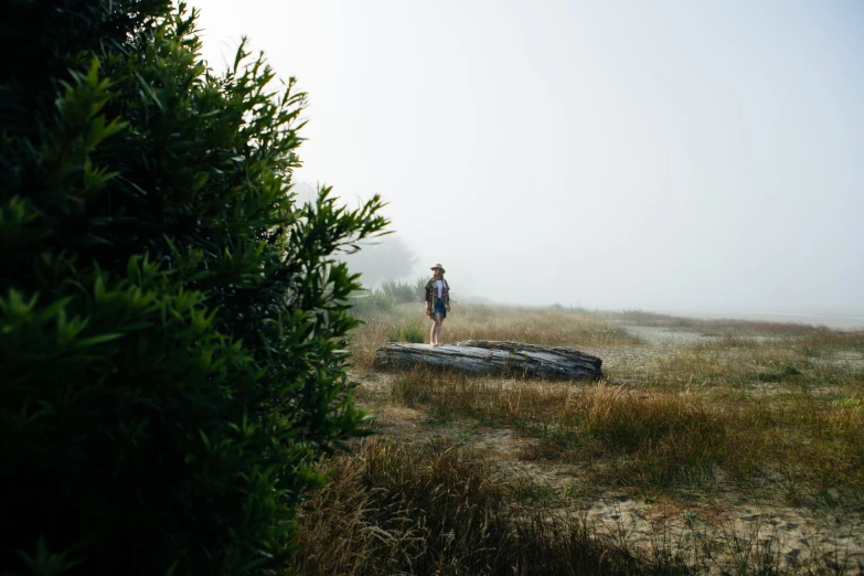 two people walking across a foggy field