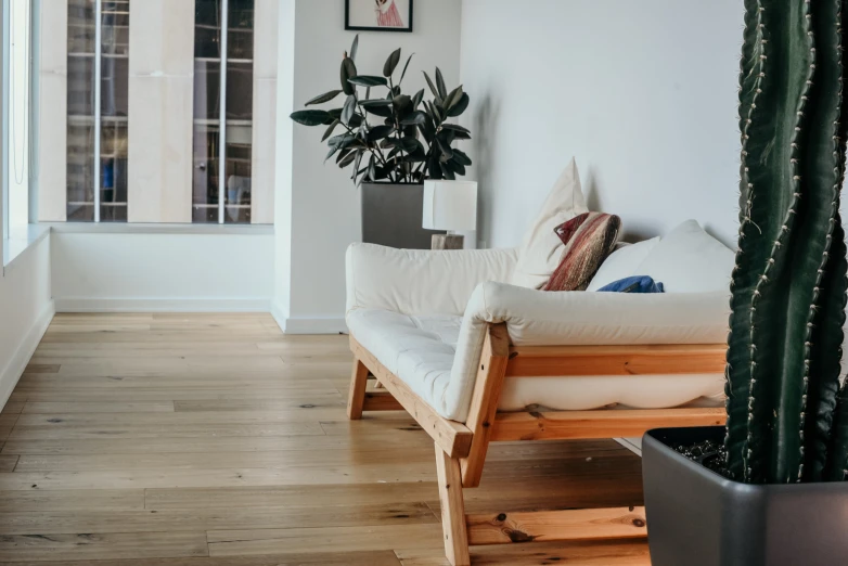 a couch with cushions in front of a potted cactus