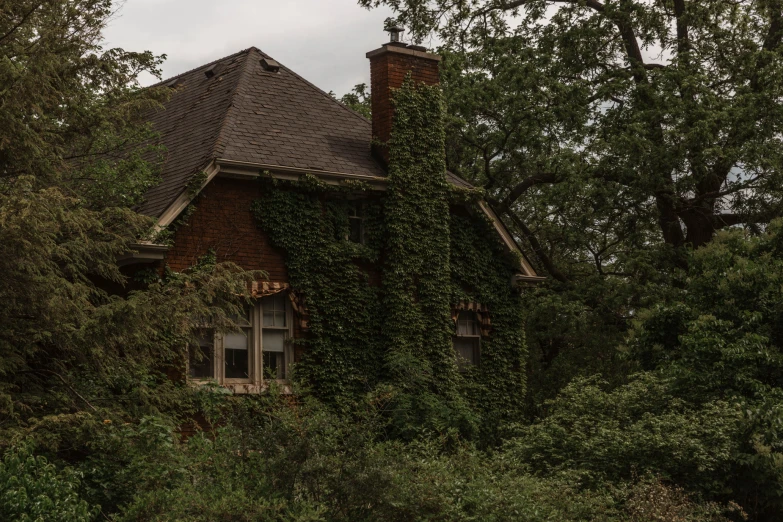 an old house with ivy growing all over it