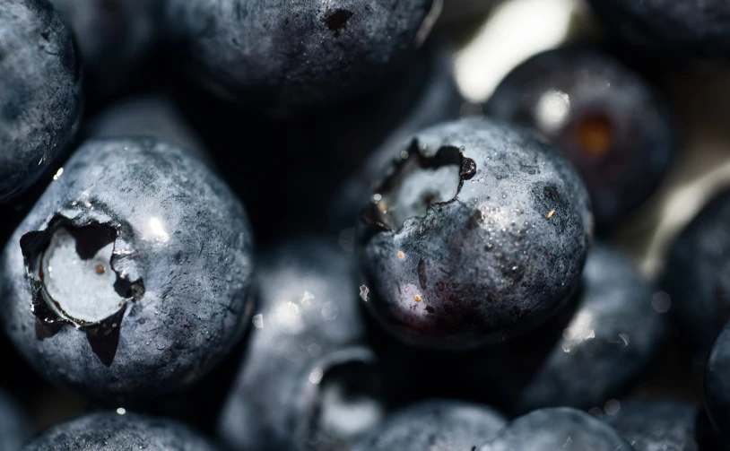 fresh blueberries on the top of each other, with a bit of soing