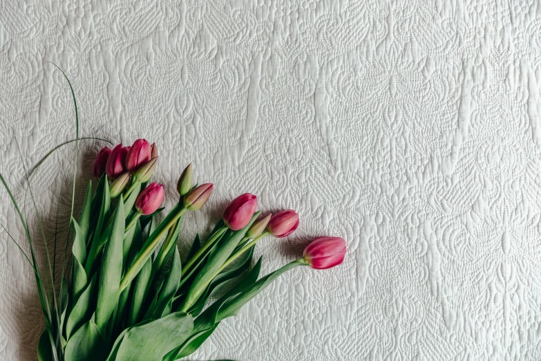 some pink tulips are in a vase on the wall