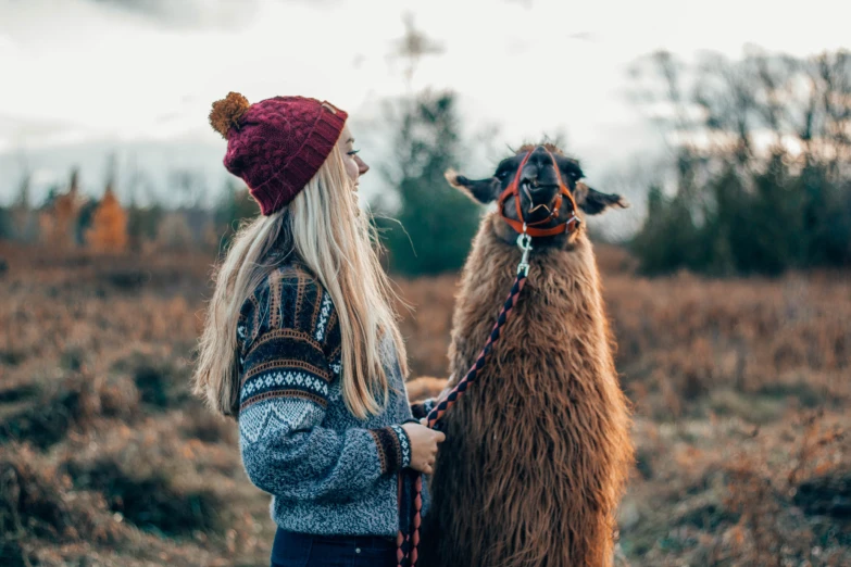 an image of a woman petting a llama