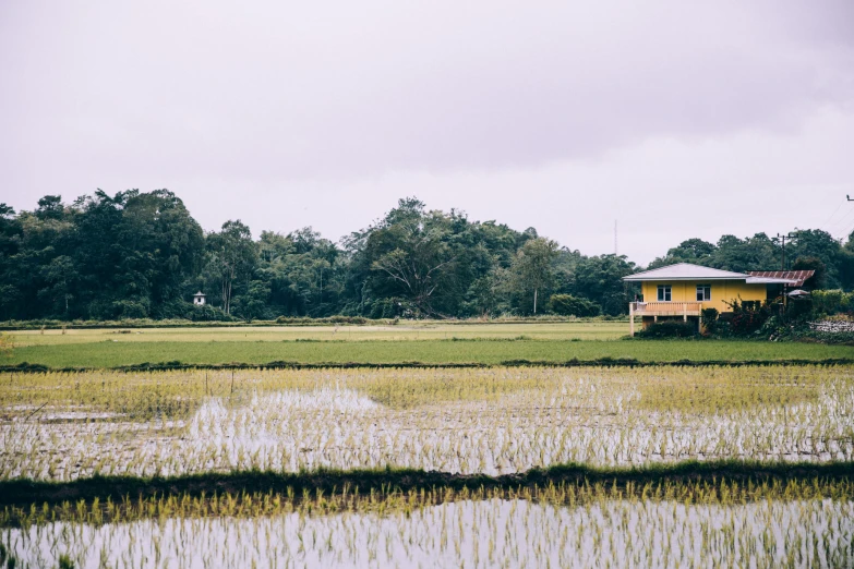 a house sitting on the top of a lush green field