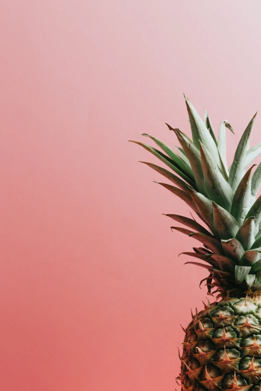a close up of a pineapple with pink background
