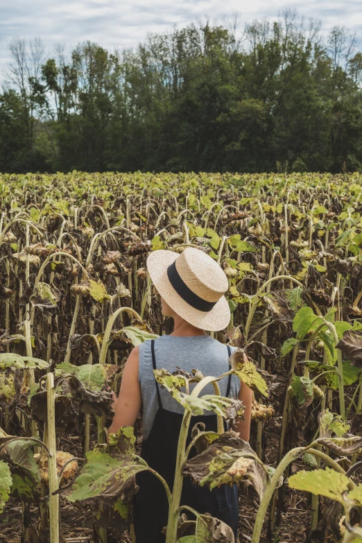 the woman in the hat is standing in front of a field of plants