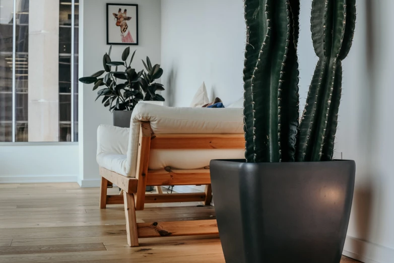 a large cactus in a pot sitting next to a chair