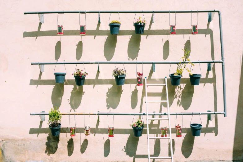 a wall with a ladder and some plant life