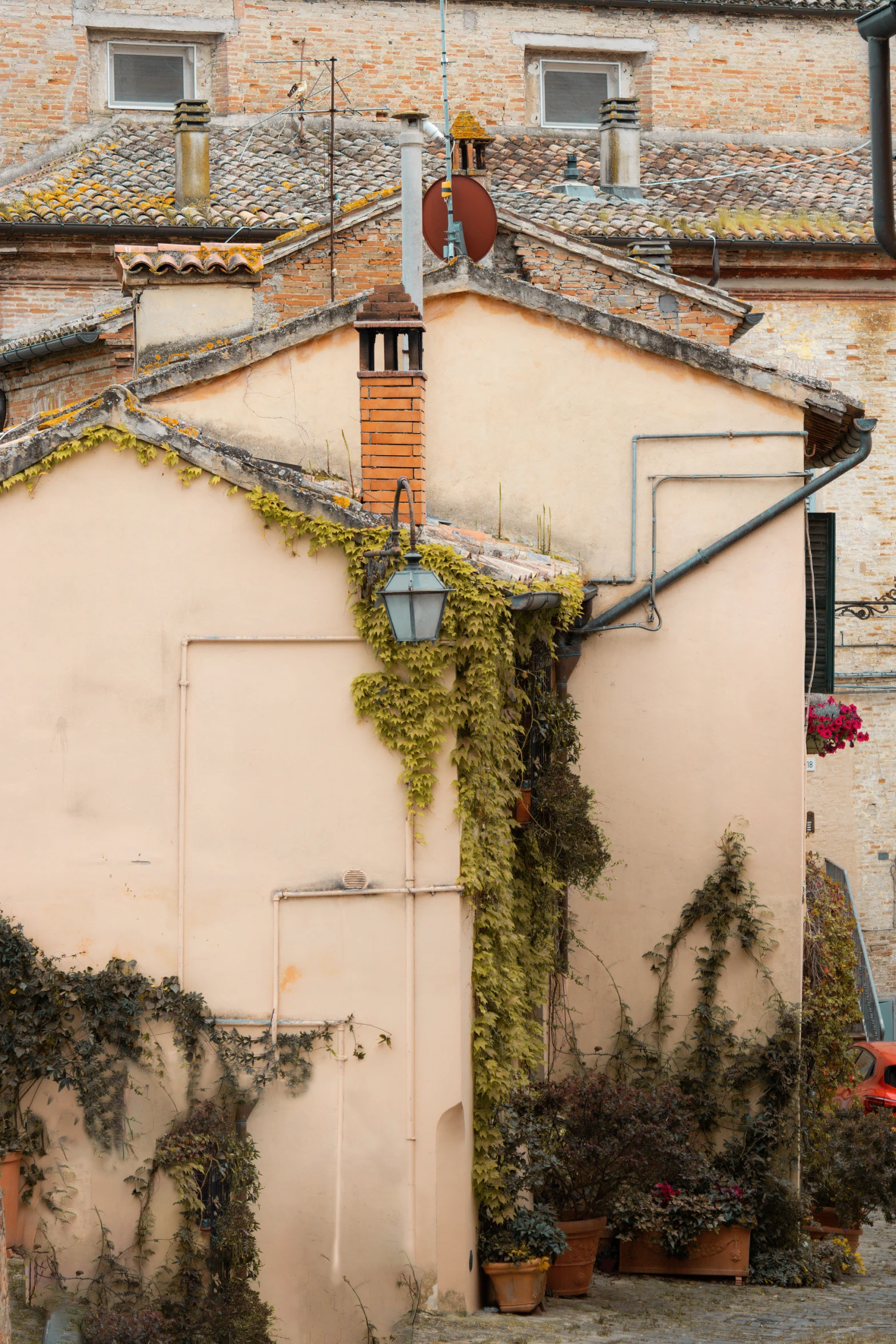 plants grow on the side of an old building