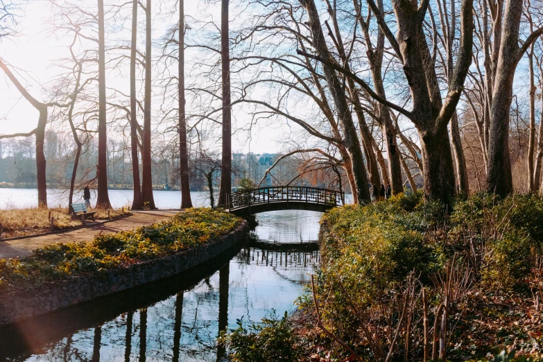 a bridge across a small creek in the woods