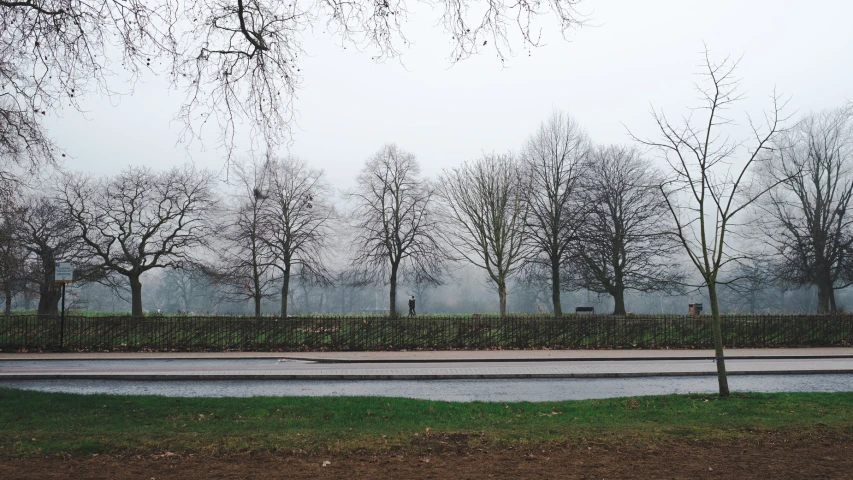 empty roads, trees and fence lined in grass