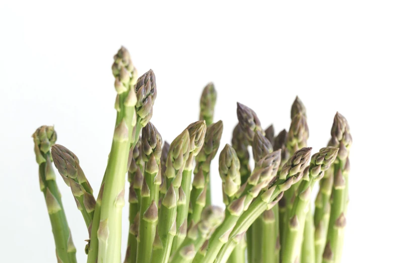 the large stalks of asparagus are ready to eat
