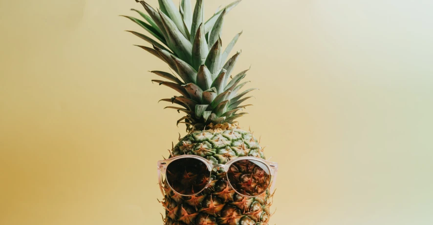 a pineapple with sunglasses hanging from it