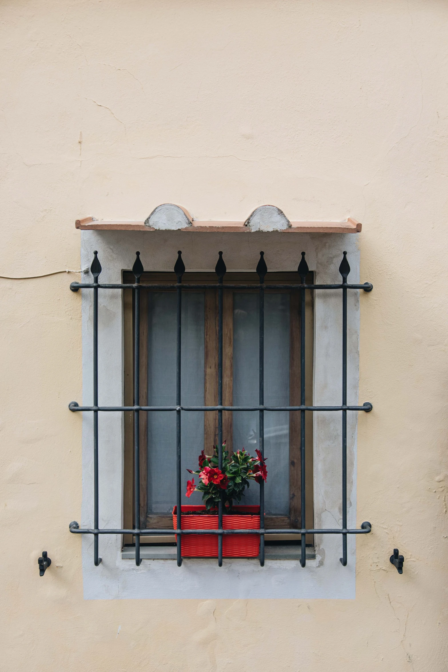 a window with a vase with some flowers in it