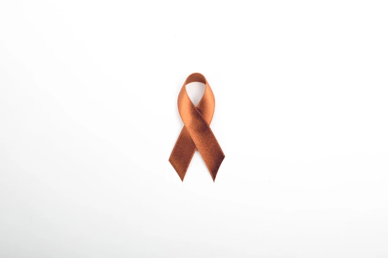 a brown ribbon with white background is seen