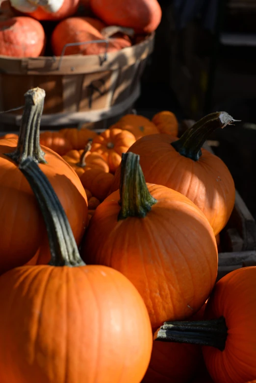 a pile of pumpkins are pictured with other squash in the background