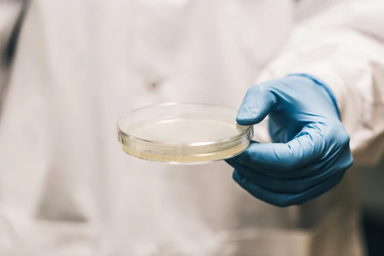 a laboratory worker wearing blue gloves holding a small bowl with white substance