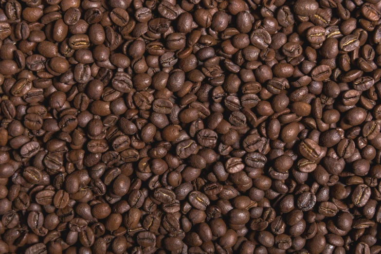 a close up view of coffee beans