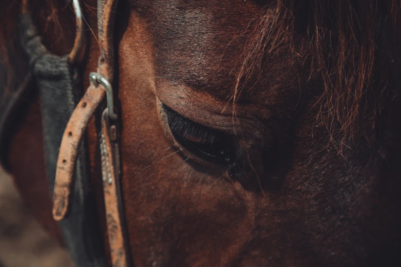 the back side of a brown horse with mane