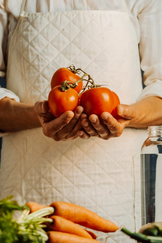 a person holds several tomatoes and carrots in their hands