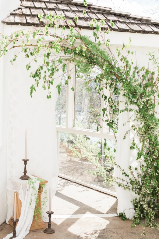 a small white room with some greenery in it