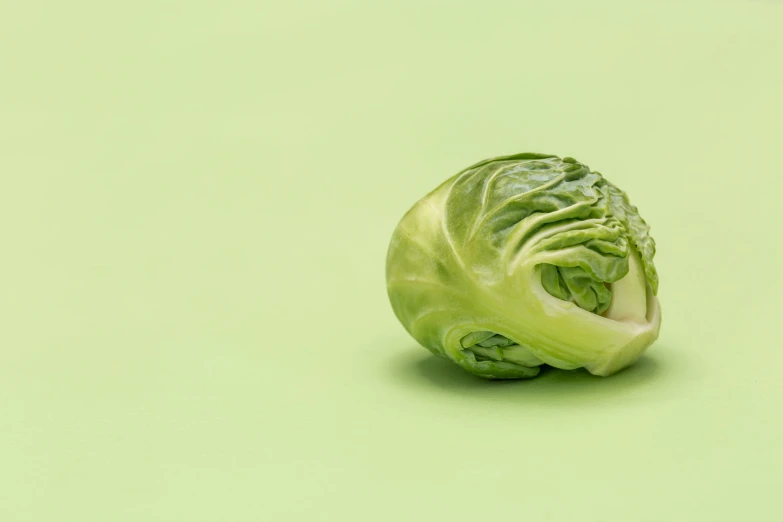 a head of green cabbage on a light green background