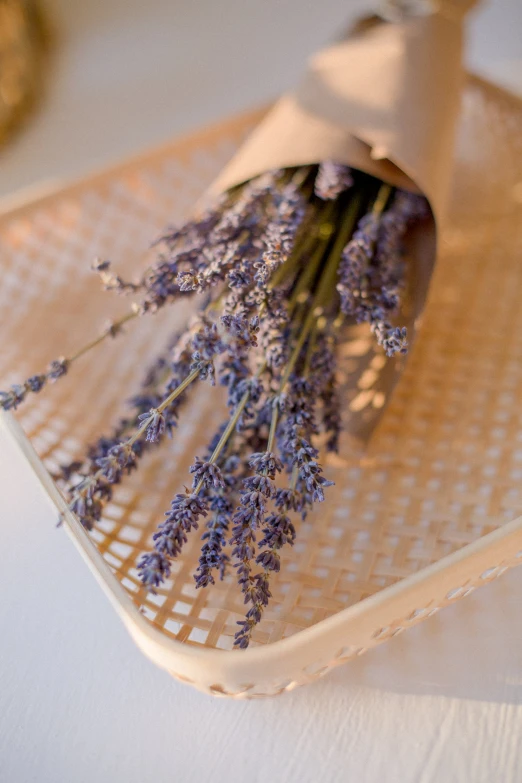 a bunch of purple lavender flowers in a white flowerpot